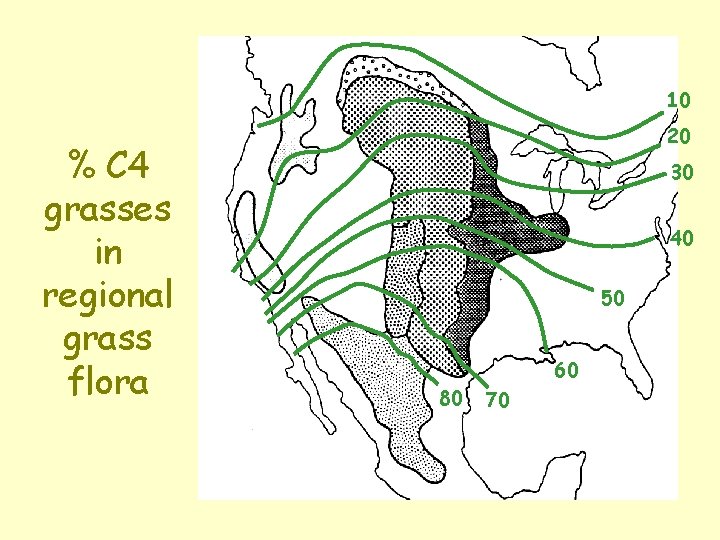 10 % C 4 grasses in regional grass flora 20 30 40 50 60