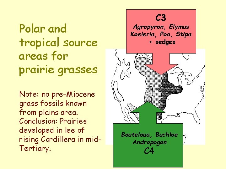 Polar and tropical source areas for prairie grasses Note: no pre-Miocene grass fossils known