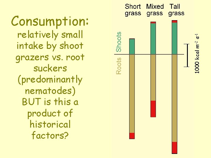 relatively small intake by shoot grazers vs. root suckers (predominantly nematodes) BUT is this