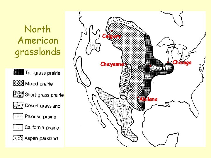 North American grasslands Calgary Cheyenne Omaha Abilene Chicago North American grasslands Calgary Cheyenne Omaha Abilene Chicago