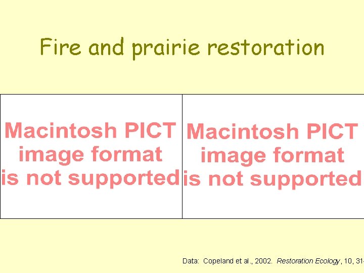 Fire and prairie restoration Data: Copeland et al. , 2002. Restoration Ecology, 10, 31