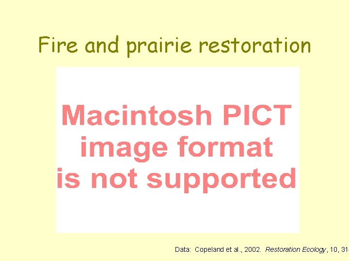 Fire and prairie restoration Data: Copeland et al. , 2002. Restoration Ecology, 10, 31