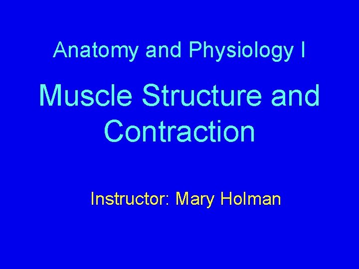 Anatomy and Physiology I Muscle Structure and Contraction Instructor: Mary Holman 