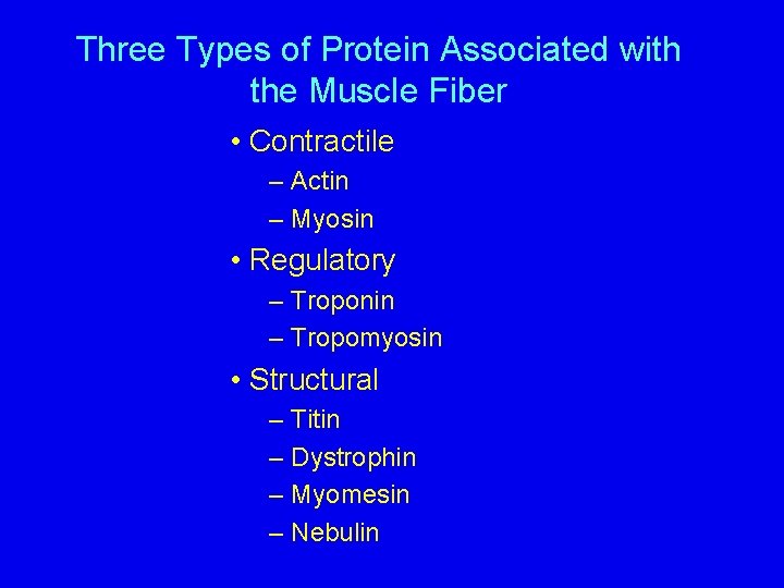 Three Types of Protein Associated with the Muscle Fiber • Contractile – Actin –
