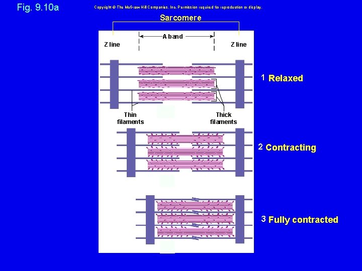 Fig. 9. 10 a Copyright © The Mc. Graw-Hill Companies, Inc. Permission required for