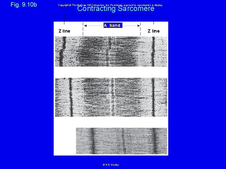 Fig. 9. 10 b Copyright © The Mc. Graw-Hill Companies, Inc. Permission required for