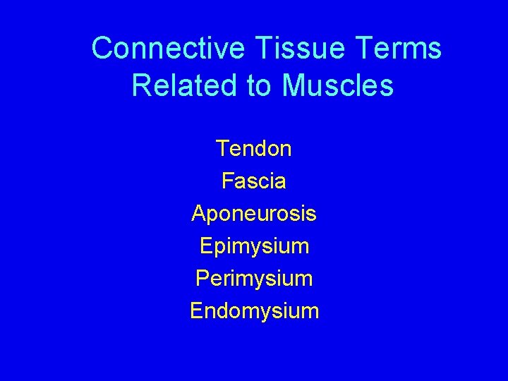 Connective Tissue Terms Related to Muscles Tendon Fascia Aponeurosis Epimysium Perimysium Endomysium 