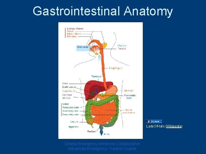 Gastrointestinal Anatomy Lady. Of. Hats (Wikipedia) Ghana Emergency Medicine Collaborative Advanced Emergency Trauma Course