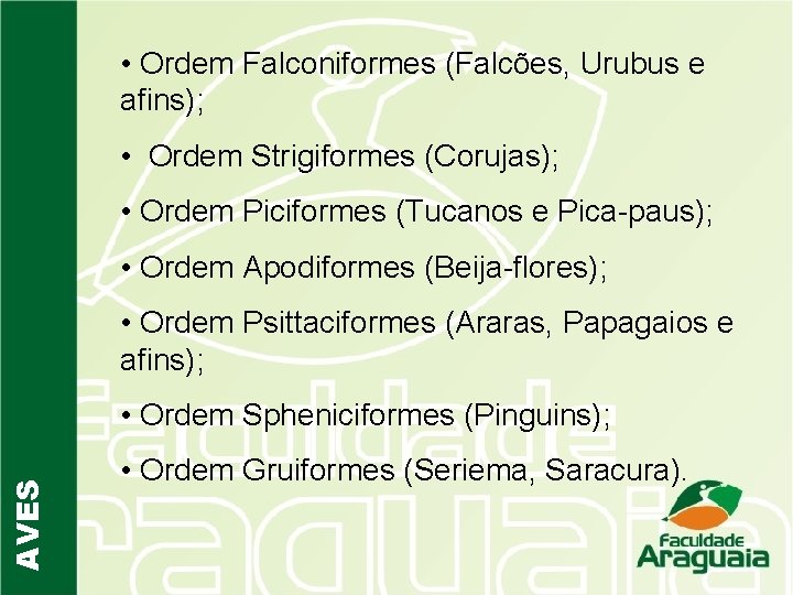  • Ordem Falconiformes (Falcões, Urubus e afins); • Ordem Strigiformes (Corujas); • Ordem