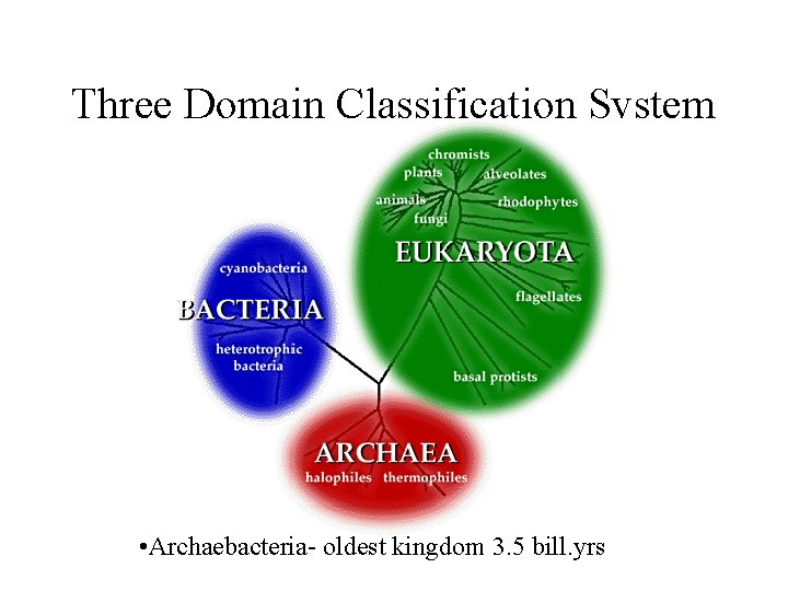 Three Domain Classification System • Archaebacteria- oldest kingdom 3. 5 bill. yrs 