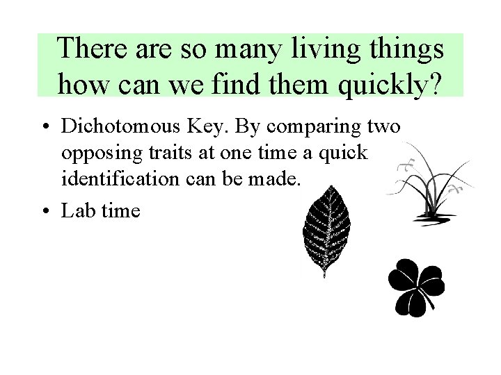 There are so many living things how can we find them quickly? • Dichotomous