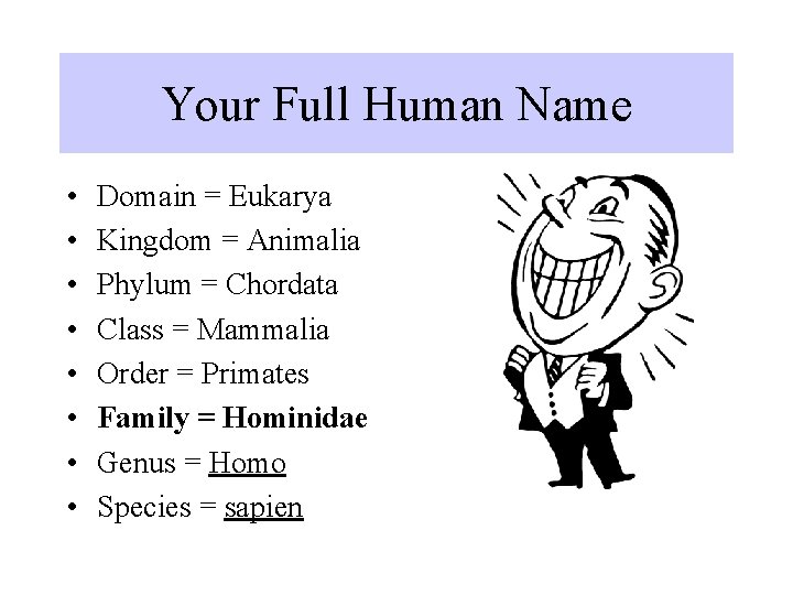 Your Full Human Name • • Domain = Eukarya Kingdom = Animalia Phylum =