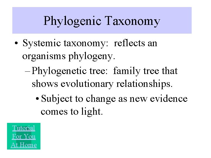 Phylogenic Taxonomy • Systemic taxonomy: reflects an organisms phylogeny. – Phylogenetic tree: family tree