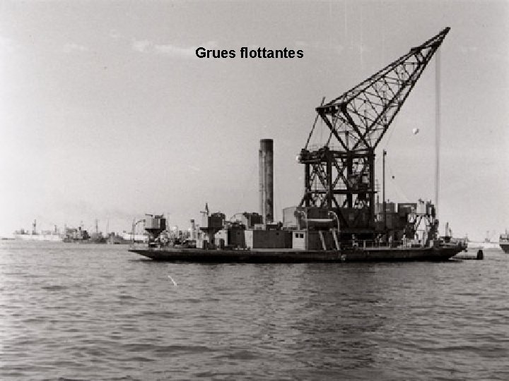 Grues flottantes 