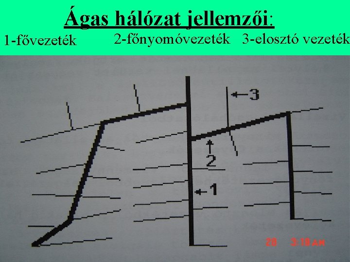 Ágas hálózat jellemzői: 1 -fővezeték 2 -főnyomóvezeték 3 -elosztó vezeték 