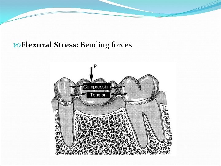  Flexural Stress: Bending forces 