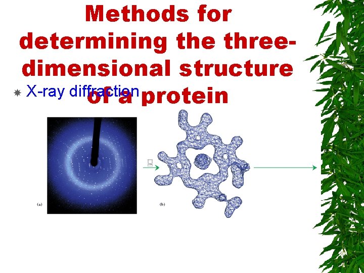 Methods for determining the threedimensional structure X-ray diffraction of a protein 