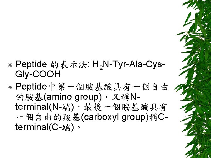 Peptide 的表示法: H 2 N-Tyr-Ala-Cys. Gly-COOH Peptide中第一個胺基酸具有一個自由 的胺基(amino group)，又稱Nterminal(N-端)，最後一個胺基酸具有 一個自由的羧基(carboxyl group)稱Cterminal(C-端)。 