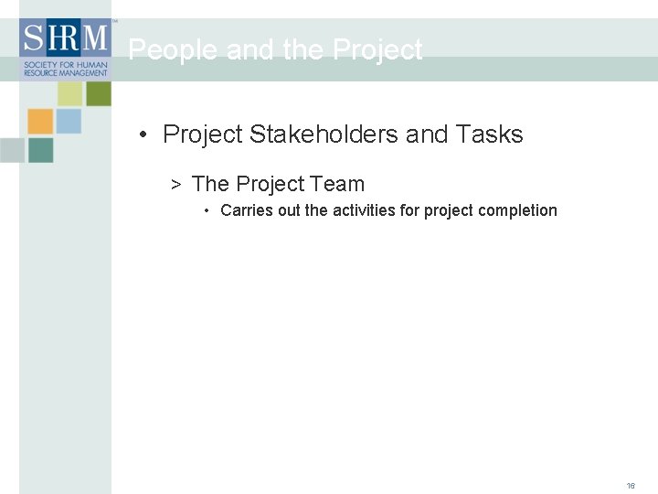 People and the Project • Project Stakeholders and Tasks > The Project Team •