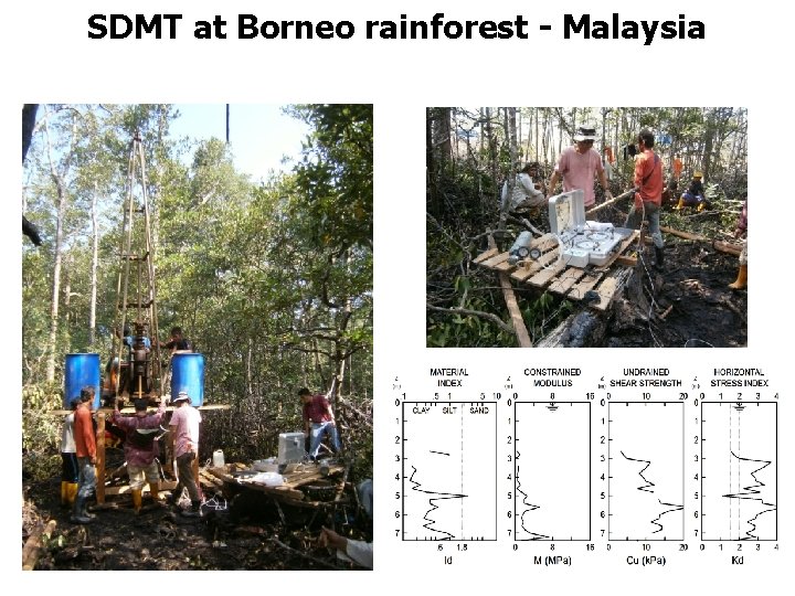 SDMT at Borneo rainforest - Malaysia 