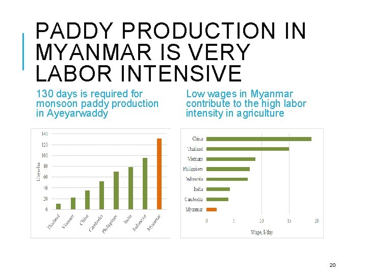 PADDY PRODUCTION IN MYANMAR IS VERY LABOR INTENSIVE 130 days is required for monsoon