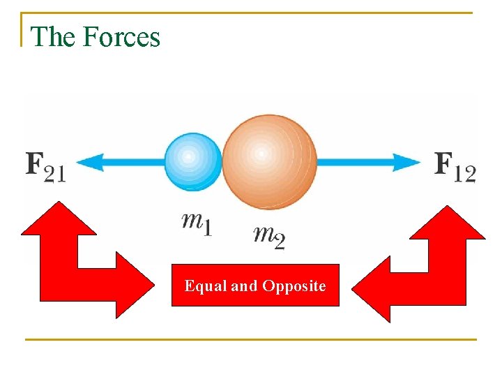 The Forces Equal and Opposite 