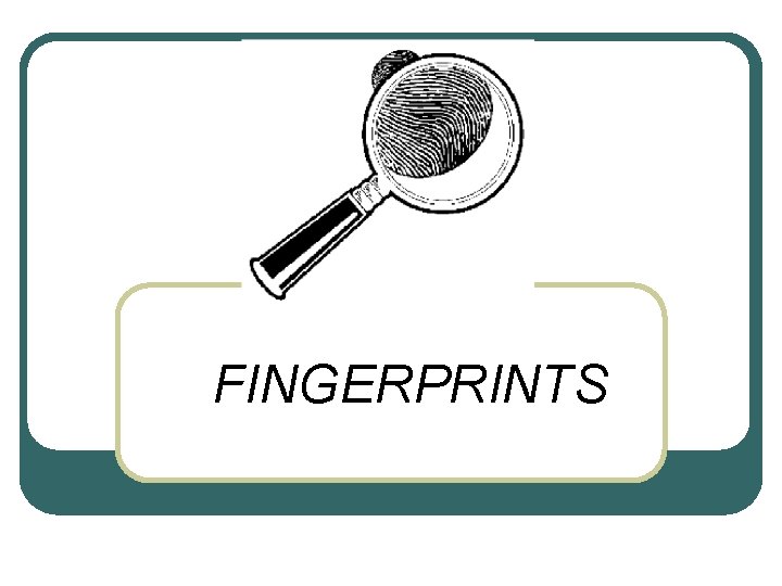 FINGERPRINTS 