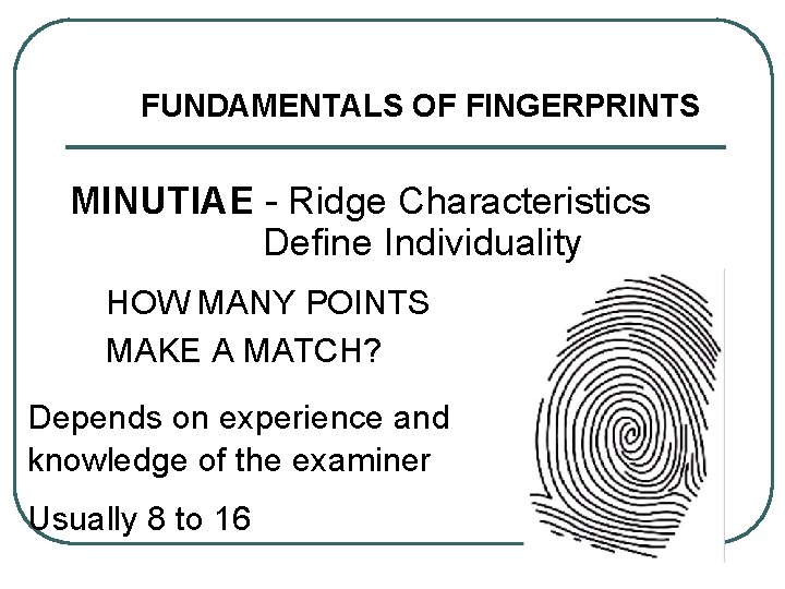FUNDAMENTALS OF FINGERPRINTS MINUTIAE - Ridge Characteristics Define Individuality HOW MANY POINTS MAKE A