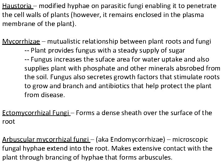 Haustoria – modified hyphae on parasitic fungi enabling it to penetrate the cell walls Haustoria – modified hyphae on parasitic fungi enabling it to penetrate the cell walls