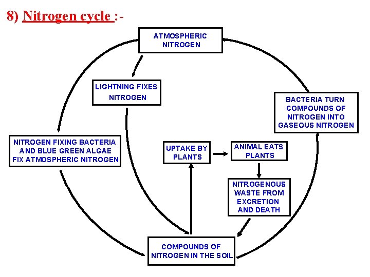 8) Nitrogen cycle : ATMOSPHERIC NITROGEN LIGHTNING FIXES NITROGEN FIXING BACTERIA AND BLUE GREEN