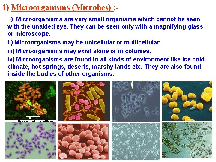 1) Microorganisms (Microbes) : i) Microorganisms are very small organisms which cannot be seen