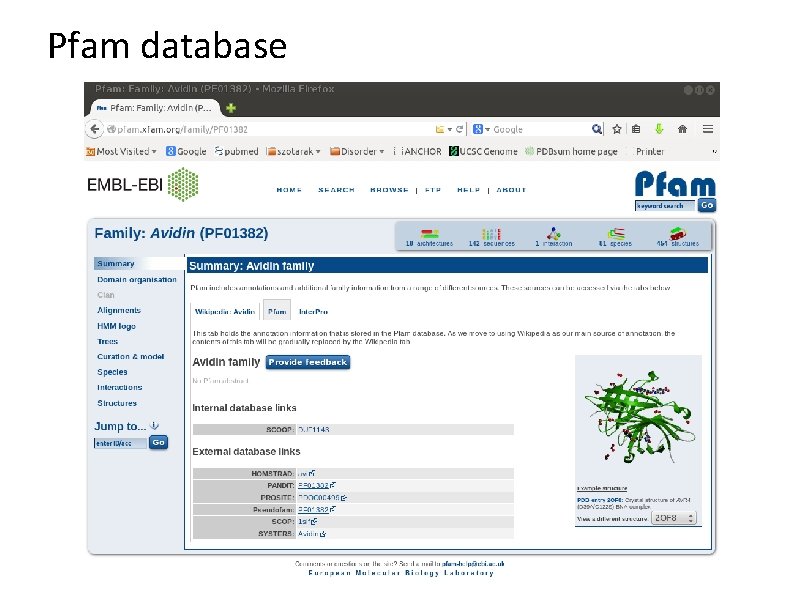 Pfam database 