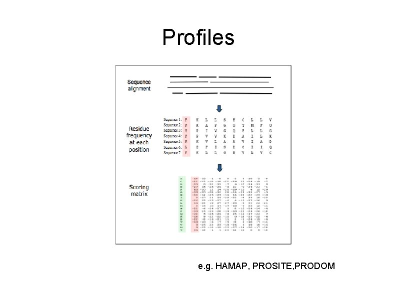 Profiles e. g. HAMAP, PROSITE, PRODOM 