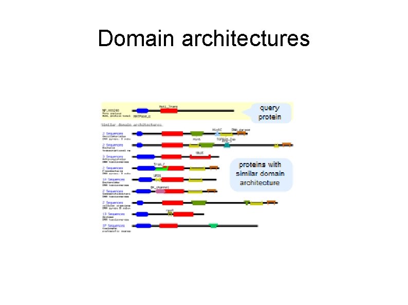 Domain architectures 