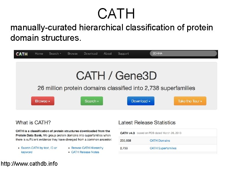 CATH manually-curated hierarchical classification of protein domain structures. http: //www. cathdb. info 