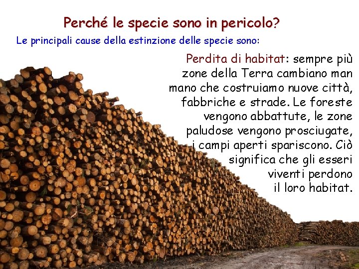 Perché le specie sono in pericolo? Le principali cause della estinzione delle specie sono: