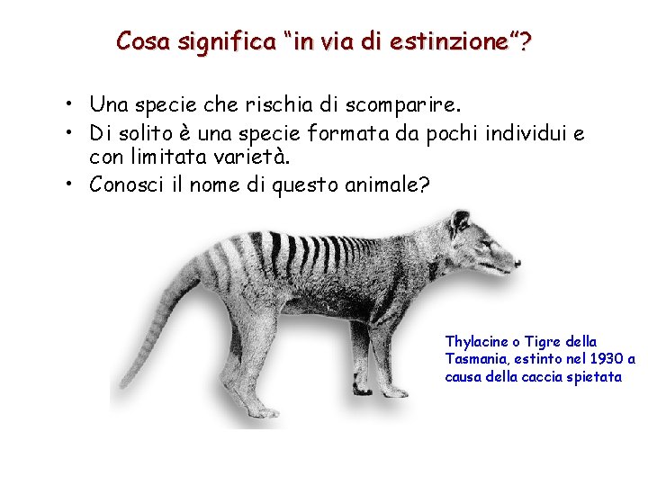 Cosa significa “in via di estinzione”? • Una specie che rischia di scomparire. •