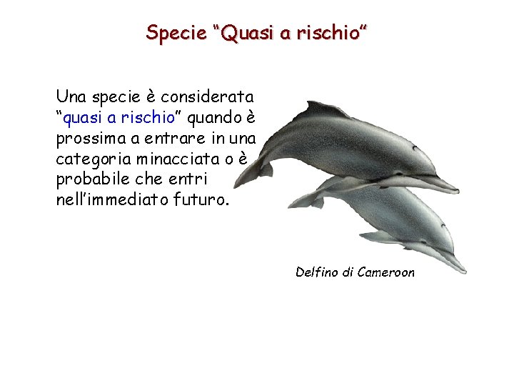 Specie “Quasi a rischio” Una specie è considerata “quasi a rischio” quando è prossima