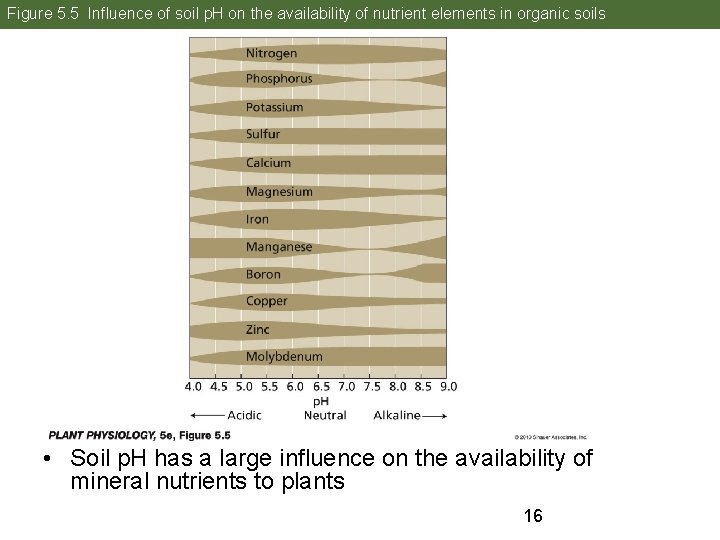 Figure 5. 5 Influence of soil p. H on the availability of nutrient elements Figure 5. 5 Influence of soil p. H on the availability of nutrient elements