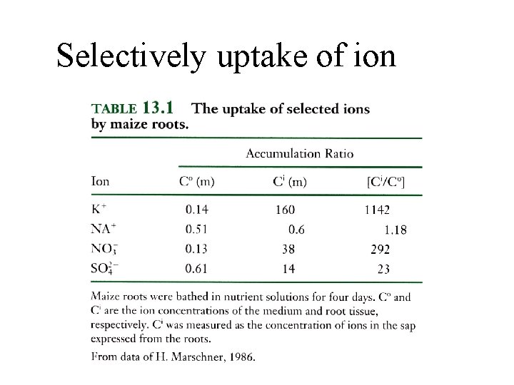 Selectively uptake of ion Selectively uptake of ion