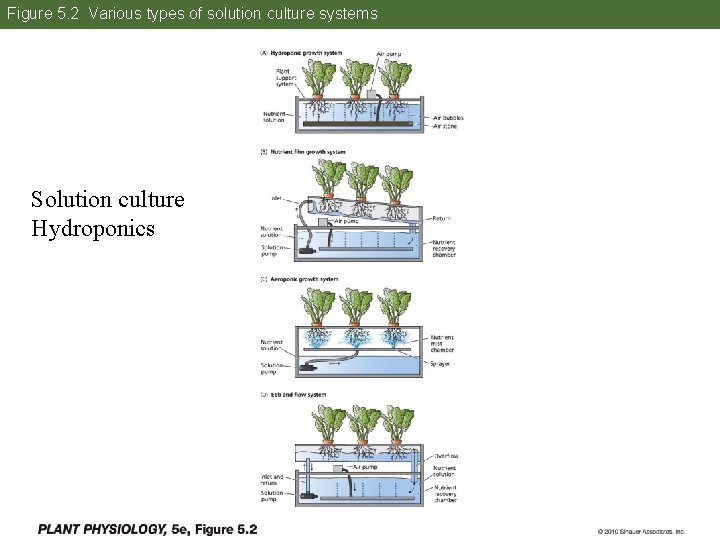 Figure 5. 2 Various types of solution culture systems Solution culture Hydroponics 4 Figure 5. 2 Various types of solution culture systems Solution culture Hydroponics 4