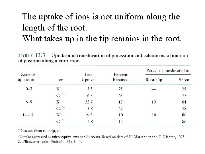 The uptake of ions is not uniform along the length of the root. What The uptake of ions is not uniform along the length of the root. What