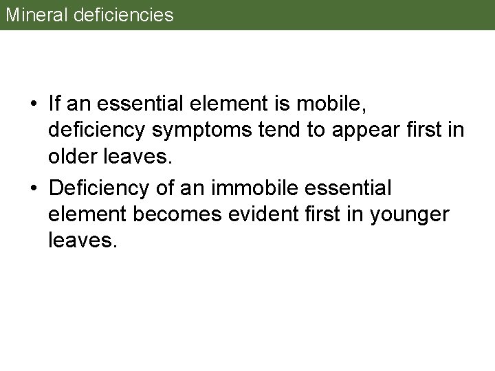 Mineral deficiencies • If an essential element is mobile, deficiency symptoms tend to appear Mineral deficiencies • If an essential element is mobile, deficiency symptoms tend to appear