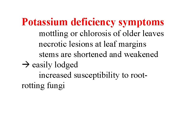 Potassium deficiency symptoms mottling or chlorosis of older leaves necrotic lesions at leaf margins Potassium deficiency symptoms mottling or chlorosis of older leaves necrotic lesions at leaf margins