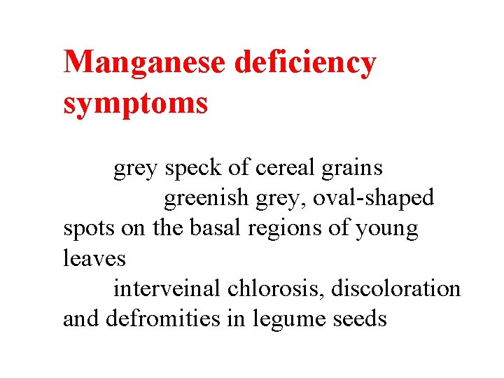 Manganese deficiency symptoms grey speck of cereal grains greenish grey, oval-shaped spots on the Manganese deficiency symptoms grey speck of cereal grains greenish grey, oval-shaped spots on the