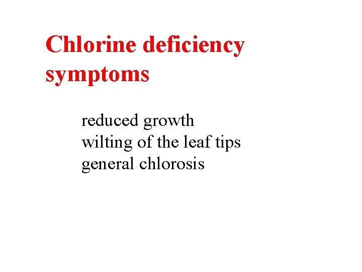 Chlorine deficiency symptoms reduced growth wilting of the leaf tips general chlorosis Chlorine deficiency symptoms reduced growth wilting of the leaf tips general chlorosis