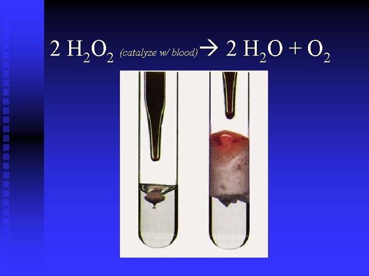 2 H 2 O 2 (catalyze w/ blood) 2 H 2 O + O 2 H 2 O 2 (catalyze w/ blood) 2 H 2 O + O