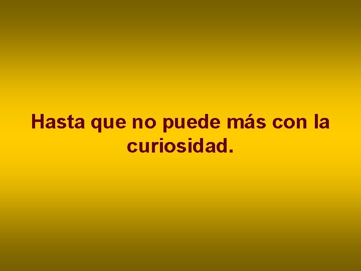 Hasta que no puede más con la curiosidad. Hasta que no puede más con la curiosidad.