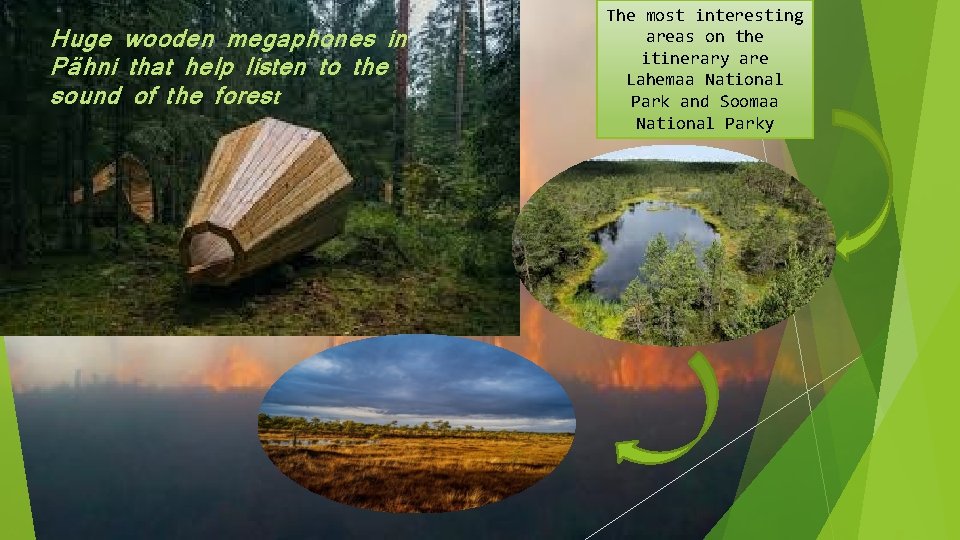 Huge wooden megaphones in Pähni that help listen to the sound of the forest