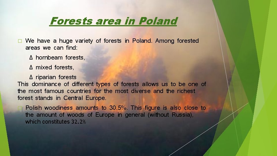 Forests area in Poland � We have a huge variety of forests in Poland.